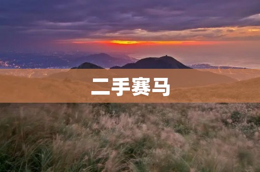 二手赛马:赛场下的另一面 二手赛马:赛场下的另一面