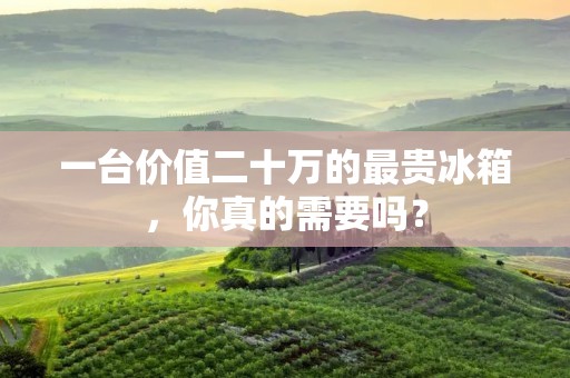 一台价值二十万的最贵冰箱,你真的需要吗? 一台价值二十万的最贵冰箱,你真的需要吗?