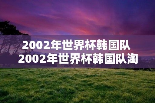 2002年世界杯韩国队 2002年世界杯韩国队淘汰了谁进入四强