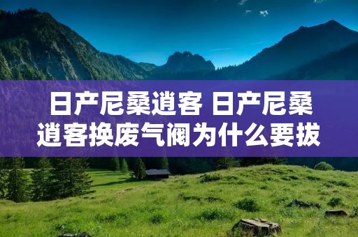 日产尼桑逍客 日产尼桑逍客换废气阀为什么要拔掉点火线圈 日产尼桑逍客 日产尼桑逍客换废气阀为什么要拔掉点火线圈