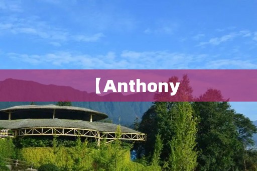 【Anthony:一个颠覆传统的创业家】 【Anthony:一个颠覆传统的创业家】