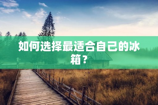 如何选择最适合自己的冰箱? 如何选择最适合自己的冰箱?