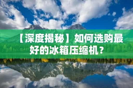 【深度揭秘】如何选购最好的冰箱压缩机? 【深度揭秘】如何选购最好的冰箱压缩机?