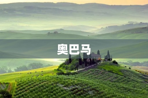 奥巴马：美国历史上的第44任总统