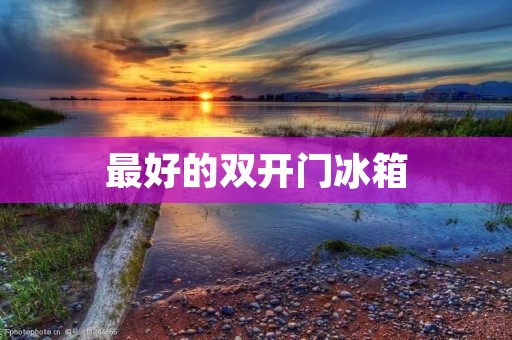 最好的**门冰箱：打造高品质生活