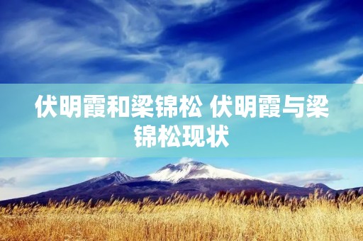伏明霞和梁锦松 伏明霞与梁锦松现状