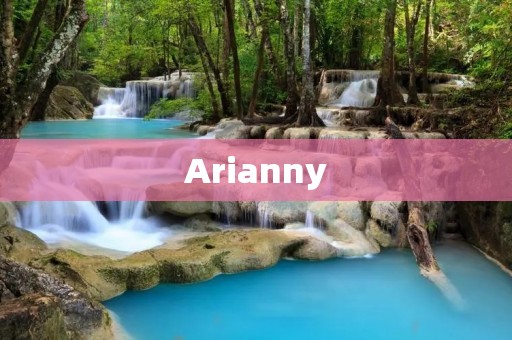 Arianny:UFC的女神 Arianny:UFC的女神