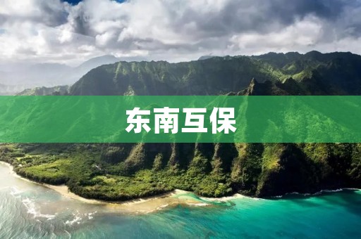 东南互保：共生共赢的互助保险