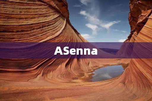 ASenna:一款革命性的智能家居系统 ASenna:一款革命性的智能家居系统