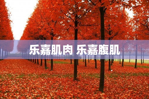 乐嘉肌肉 乐嘉腹肌 乐嘉肌肉 乐嘉腹肌