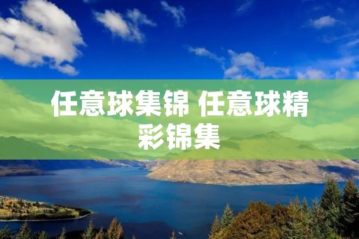 任意球集锦 任意球精彩锦集