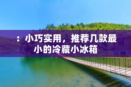 :小巧实用,推荐几款最小的冷藏小冰箱 :小巧实用,推荐几款最小的冷藏小冰箱