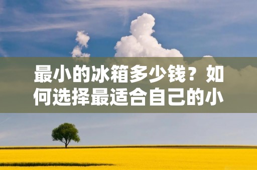 最小的冰箱多少钱?如何选择最适合自己的小型冰箱? 最小的冰箱多少钱?如何选择最适合自己的小型冰箱?