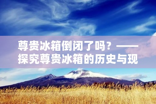 尊贵冰箱倒闭了吗？——探究尊贵冰箱的历史与现状
