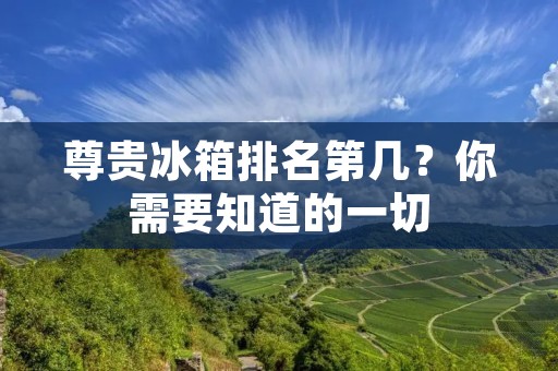 尊贵冰箱排名第几?你需要知道的一切 尊贵冰箱排名第几?你需要知道的一切