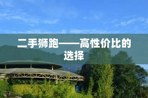 二手狮跑——高性价比的选择 二手狮跑——高性价比的选择