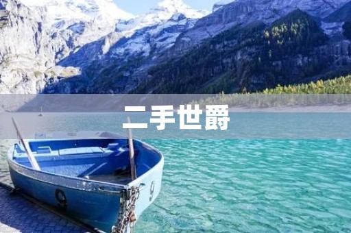 二手世爵:跑车界的经典之选 二手世爵:跑车界的经典之选