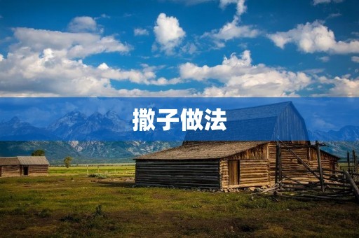 撒子做法：传统美食的独特魅力