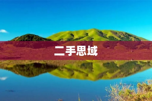 二手思域：性能与实用并存的优质选择