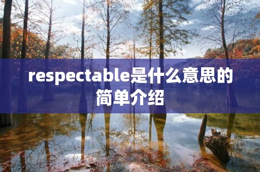 respectable是什么意思的简单介绍