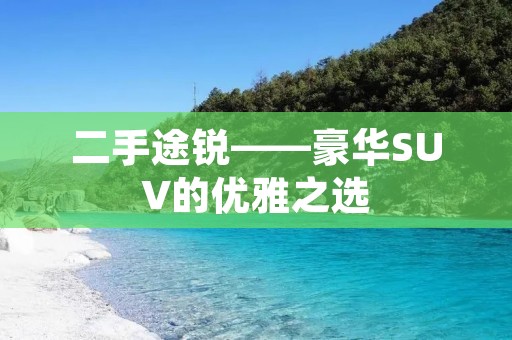 二手途锐——豪华SUV的优雅之选 二手途锐——豪华SUV的优雅之选