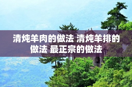 清炖羊肉的做法 清炖羊排的做法 最正宗的做法