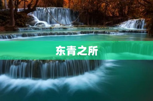 东青之所:探寻中国古代文化的宝藏 东青之所:探寻中国古代文化的宝藏