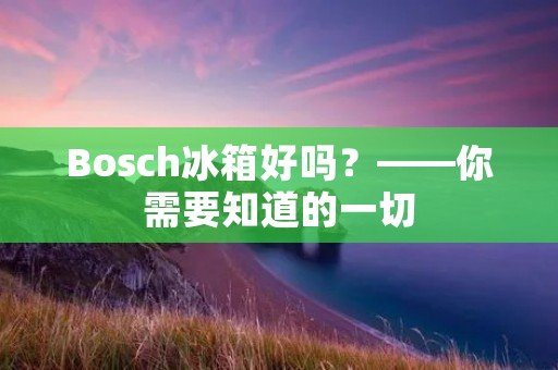 Bosch冰箱好吗？——你需要知道的一切