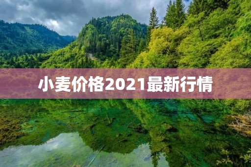 小麦价格2021最新行情:供需矛盾加剧,价格波动不定