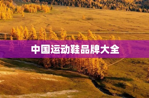 中国运动鞋品牌大全