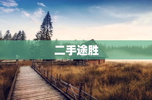 二手途胜:性价比高,安全可靠的选择 二手途胜:性价比高,安全可靠的选择