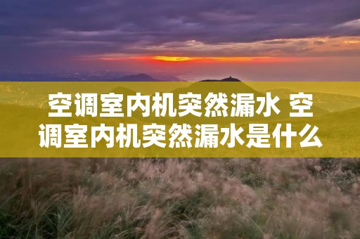 空调室内机突然漏水 空调室内机突然漏水是什么原因造成的