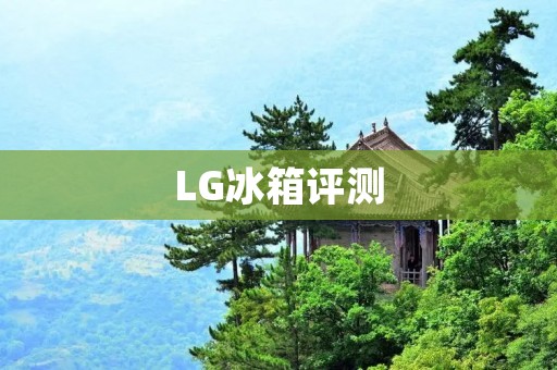 LG冰箱评测：性能优异，品质可靠