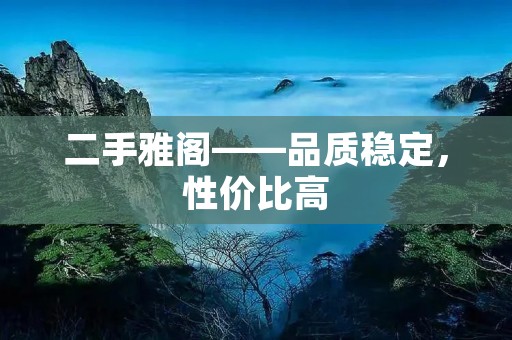 二手雅阁——品质稳定，性价比高