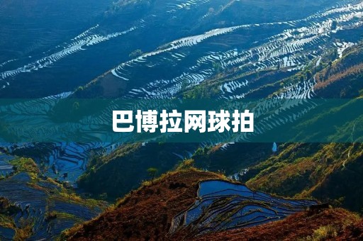 巴博拉网球拍:超越常规的设计与性能 巴博拉网球拍:超越常规的设计与性能