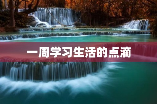 一周学习生活的点滴