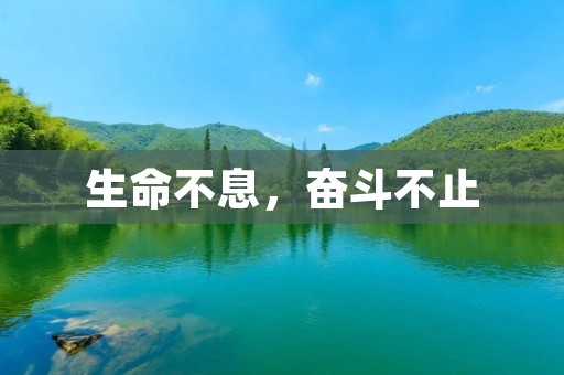生命不息,奋斗不止