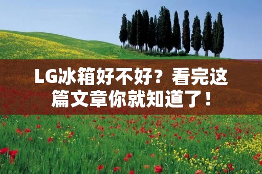 LG冰箱好不好？看完这篇文章你就知道了！