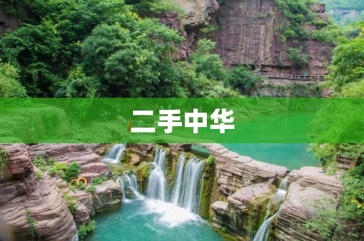 二手中华:一份历史的传承 二手中华:一份历史的传承