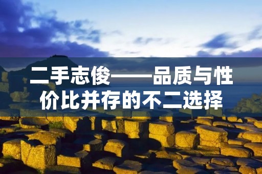 二手志俊——品质与性价比并存的不二选择 二手志俊——品质与性价比并存的不二选择