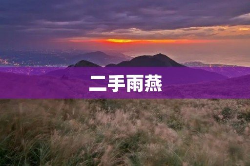 二手雨燕:让你的出行更便捷 二手雨燕:让你的出行更便捷