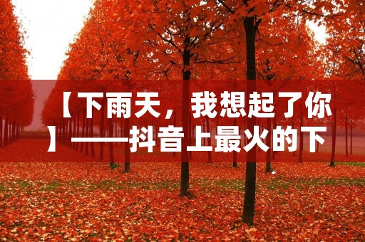 【下雨天,我想起了你】——抖音上最火的下雨说说