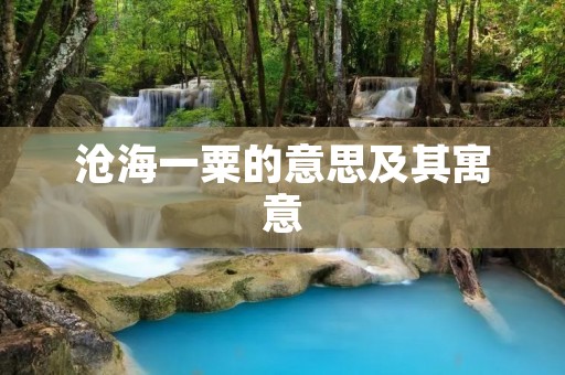 沧海一粟的意思及其寓意