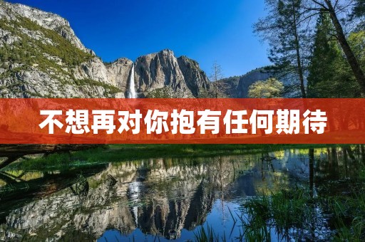 不想再对你抱有任何期待