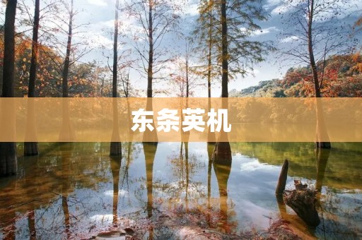 东条英机：日本战争罪犯之一