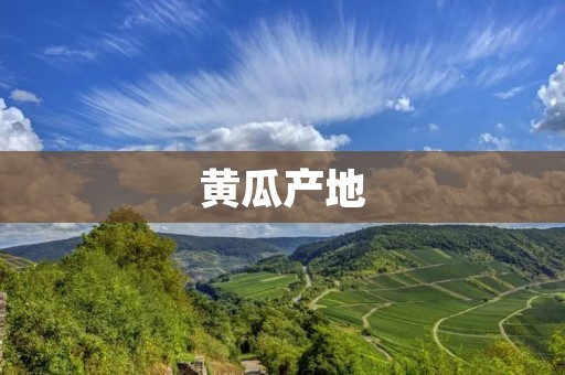 黄瓜产地:探寻黄瓜的生长之路