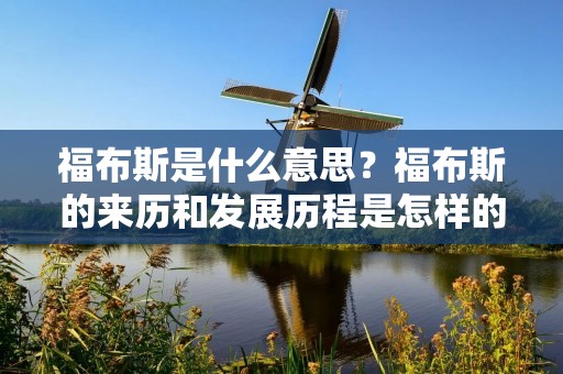 福布斯是什么意思?福布斯的来历和发展历程是怎样的?福布斯在商业和金融领域中所扮演的角色又是什么?本文将详细介绍福布斯这一知名品牌的起源和发展历程,以及其在商业和金融领域中的重要地位。
