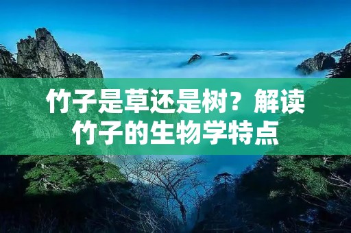 竹子是草还是树?解读竹子的生物学特点