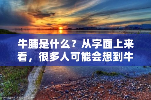 牛腩是什么？从字面上来看，很多人可能会想到牛的腩肉，但实际上，牛腩是指牛的腹部和腰部的肉块，也就是我们常说的牛肚。牛腩因为肉质鲜嫩，口感丰富，营养丰富而备受人们喜爱。在中国，牛腩是一道非常受欢迎的菜肴，被广泛应用于各种菜式中。在本文中，我们将详细介绍牛腩的特点、营养价值和烹饪方法。