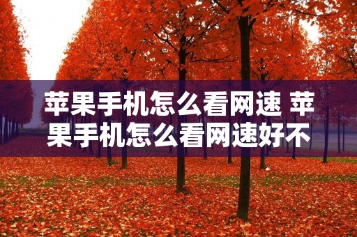 苹果手机怎么看网速 苹果手机怎么看网速好不好 苹果手机怎么看网速 苹果手机怎么看网速好不好